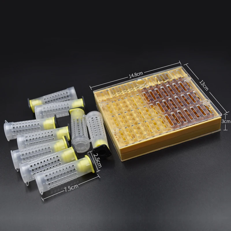 Beekeeping tools plastic Queen Rearing System Cultivating Box Cell Cups Bee Catcher Cage Beekeeping Tool Equipment