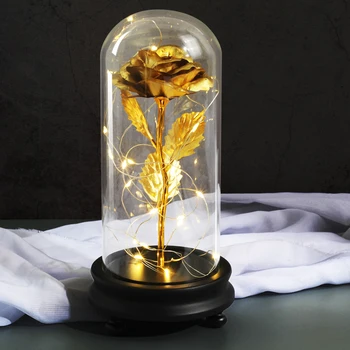 

Heart of Beauty and the Beast Rose Rose in the Glass Dome Forever Rose Red Rose Preserved Rose Special of the Beautiful Rose Rom