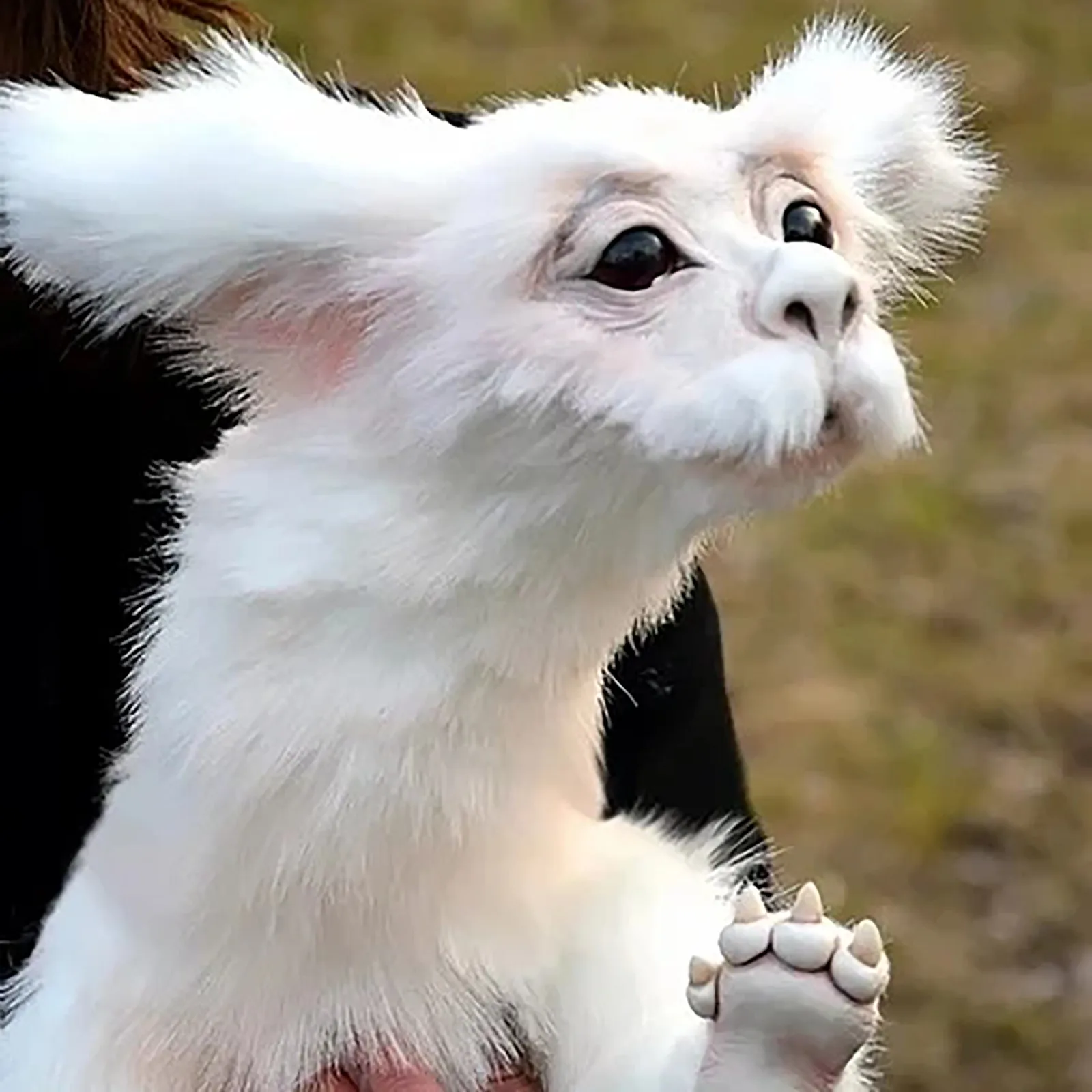 Дракон Удачи Falkor Кукла Плюшевая Игрушка Мягкие животные куклы невесомая история