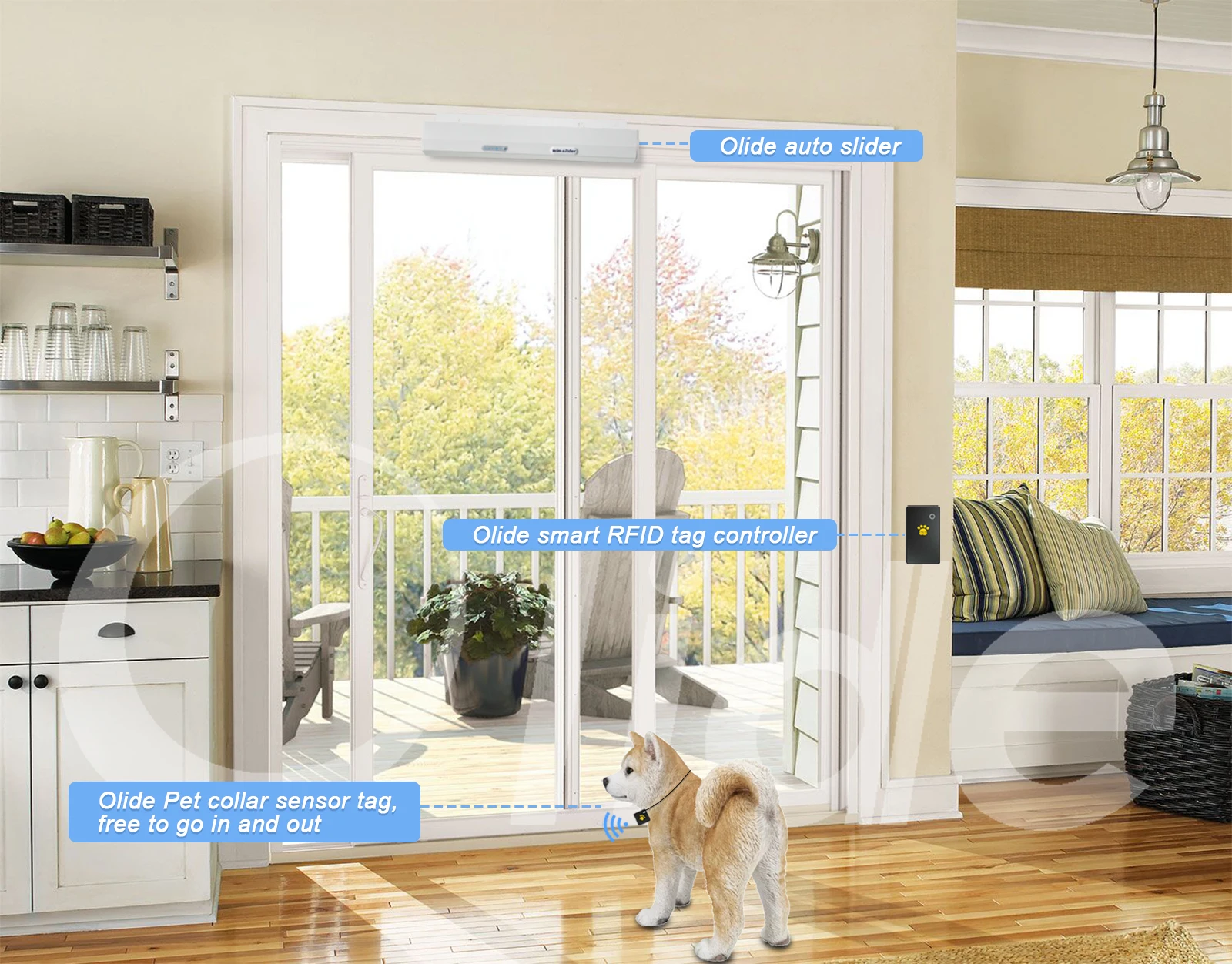 pet door with collar sensor
