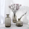 Ins Nordic Glass Transparent Smoke Gray Bubble Vase Home Living Room Table Decoration Decoration Shooting Props 3
