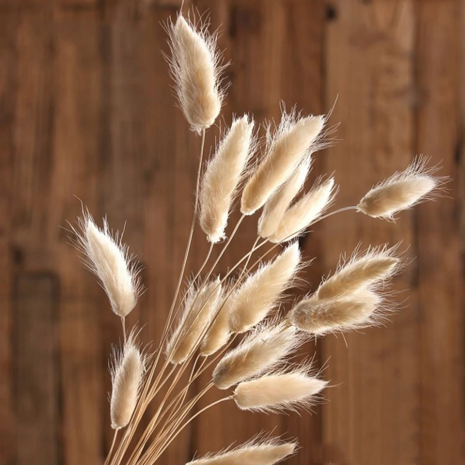 dried natural flower  (8)