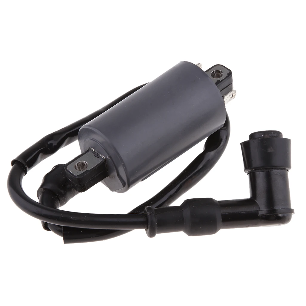 Motorcycle Ignition Coil for Buyang 300CC D300 G300 H300 ATV Quad