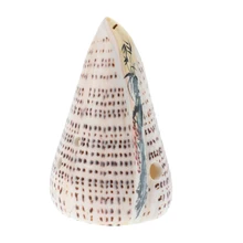 Профессиональная 8 отверстий окарина флейта древний Сюнь для начинающих детей музыкальная игрушка