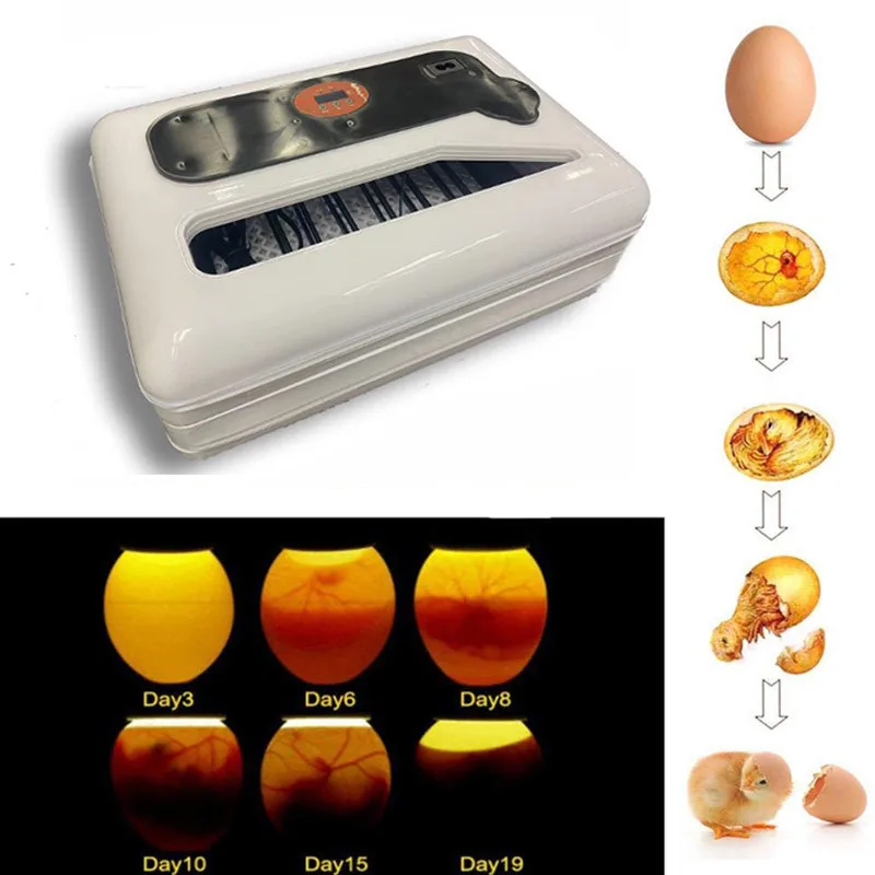 Full Automatic Incubator Hatchery Brooder Machine Automatic Eggs Incubator Bird Quail Brooder New Design Hatchery  Farm Chicken