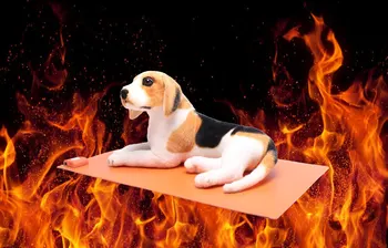 

Pet Dog Heater Bed Heating Mat Electric Heating Pad Soft Pet Bed Kennel Winter Warm Cat Heat Mats Puppy Kitten Bed Cushions