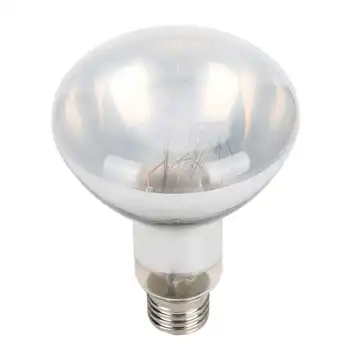 

Reptile DimmingThermostat Temperature Controller Reptile Bulb Hot Light Ultraviolet UVB Full Spectrum Solar (220V)