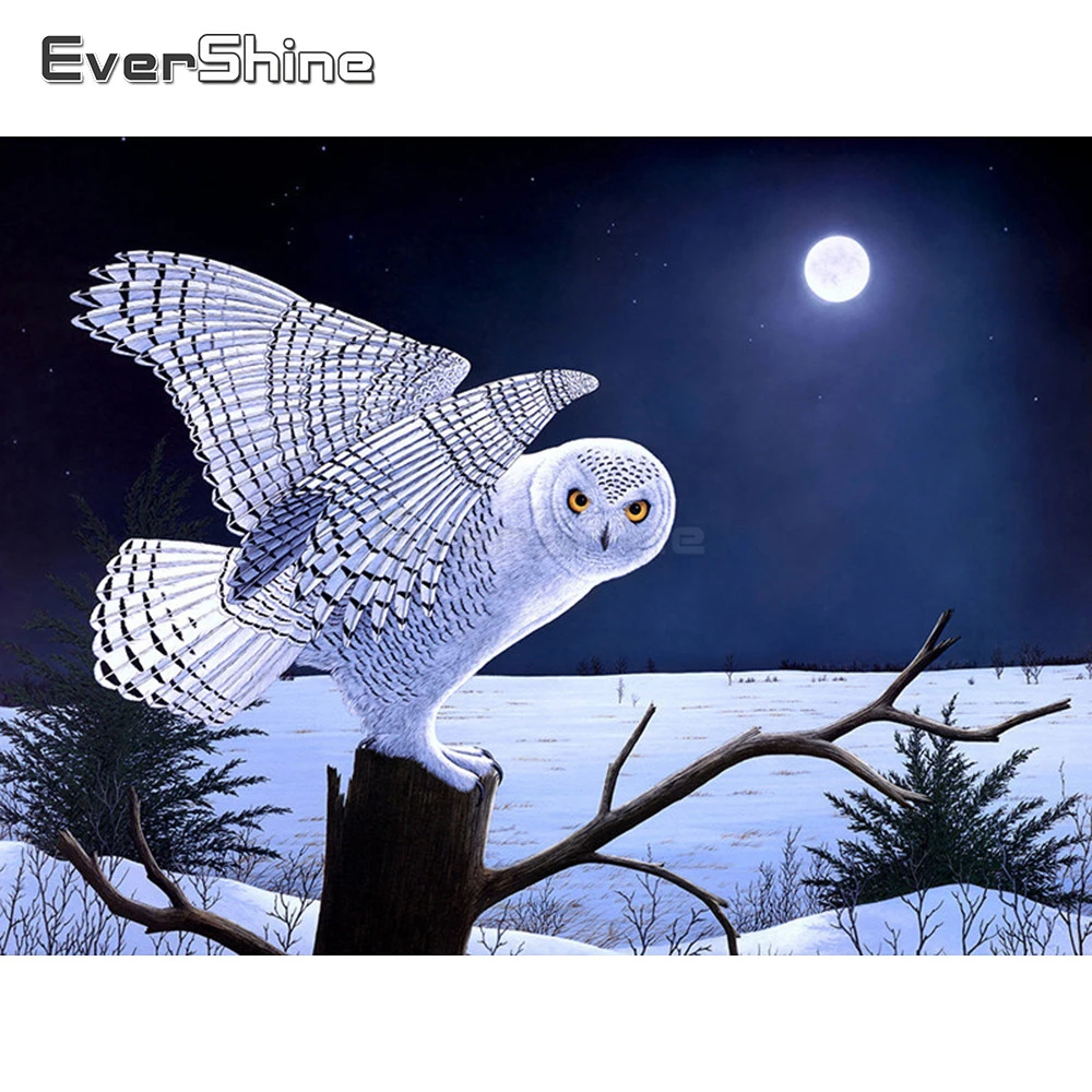 

EverShine Diamond Embroidery Full Display Picture Rhinestones Diamond Mosaic Animals Owl Cross Stitch Handmade Beadwork Gift