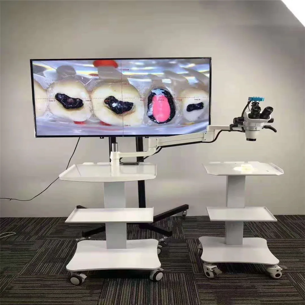 Непрерывный зум 16 МП 1080P стоматологический операционный микроскоп Портативный