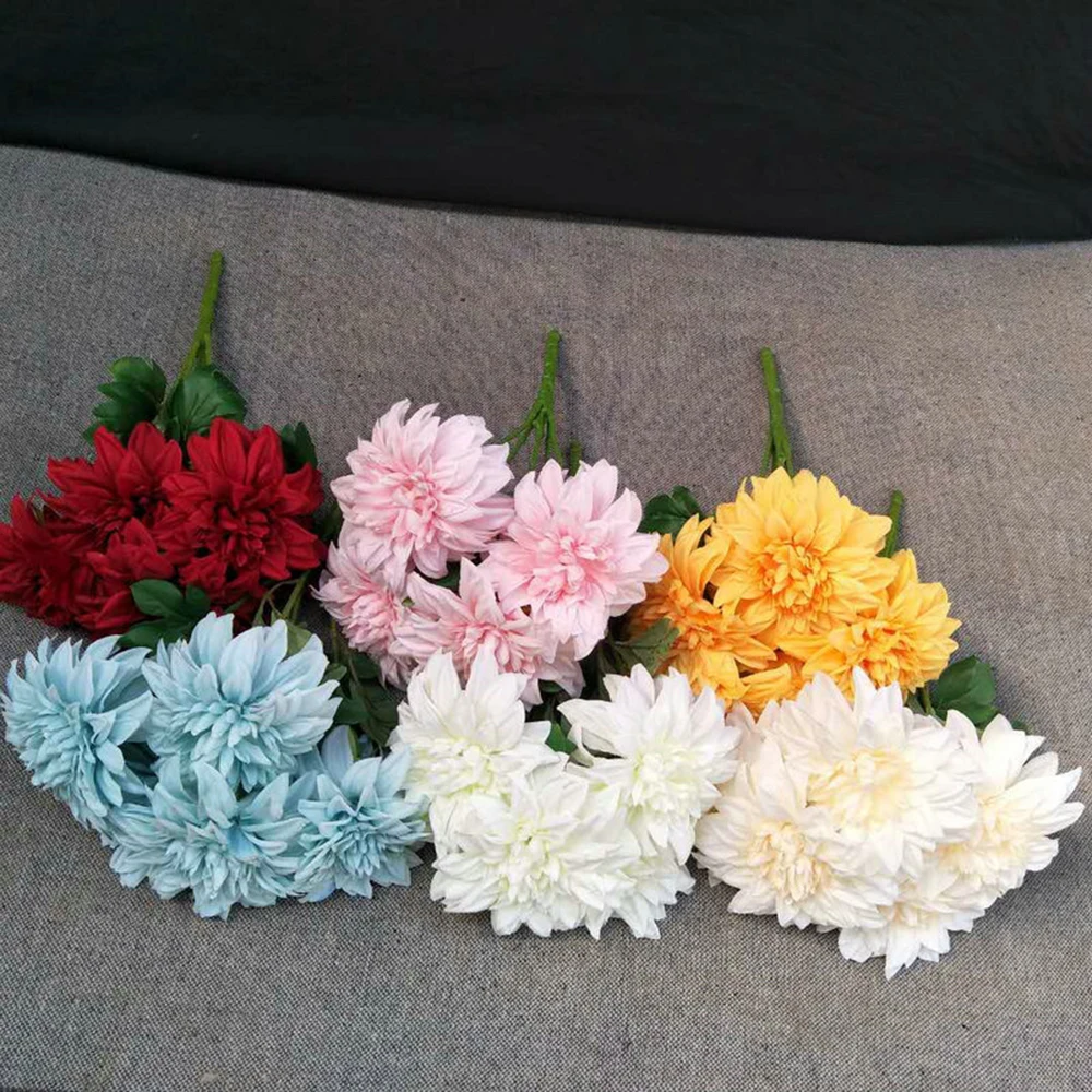 YYPA0057-YYPA0062-C2