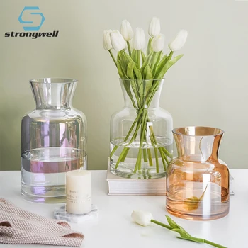 

Strongwell Nordic Color Glass Vase Transparent Hydroponic Flower Vase Home Decoration Christmas Gift Wedding Desk Decoration
