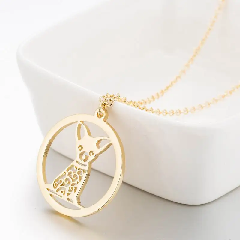 10997399153_1313213473