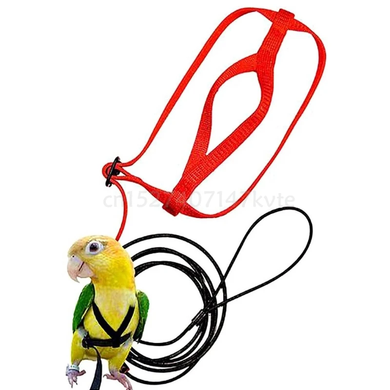 Parrot Bird Leash Harness Training Rope Anti Bite Flying Band Outdoor Adjustable 
