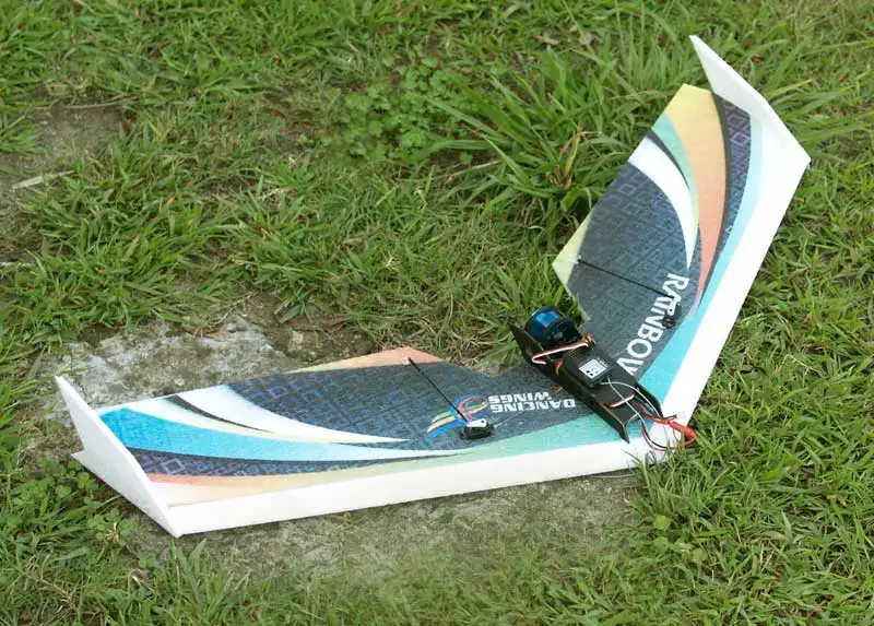 Rainbow Fly wing-1 (1)