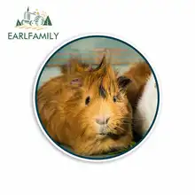 ^#Cheap EARLFAMILY 13cm x 13cm for Cute Guinea Pigs Car Stickers Vinyl JDM Waterproof RV VAN Fine Decal Car Accessories Graphics Anime ^#Cheap EARLFAMILY 13cm x 13cm for Cute Guinea Pigs Car Stickers Vinyl JDM Waterproof RV VAN Fine Decal Car Accessories Graphics Anime