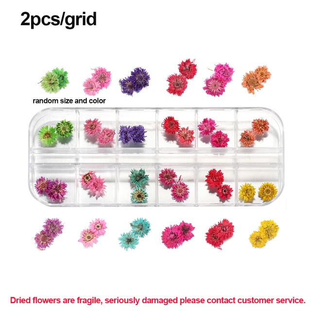 1Box Dried Flowers Dry Plants for Rsein Molds Fillings Epoxy Resin Pendant Tweezers Jewelry Making Craft DIY Nail Art Decoration Style 04