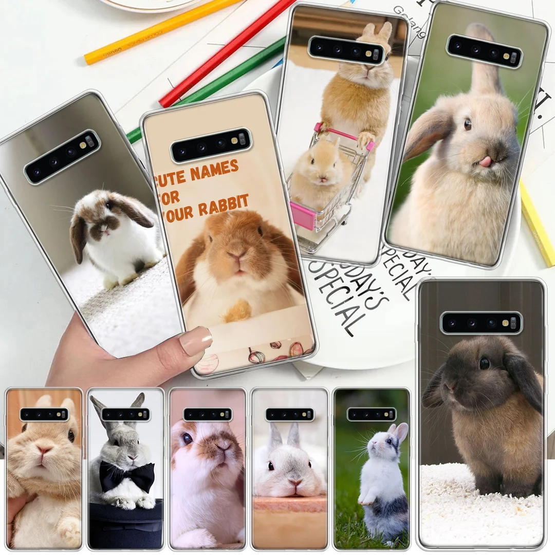 Милый чехол для телефона с изображением белого кролика Samsung Galaxy A70 A50 A40 A30S A20E A10S Note