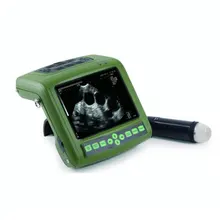 Medical Equipment Full Digital Veterinary Use Mechanical Sector Ultrasound Diagnostic Instrument