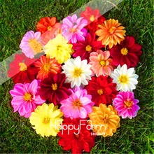Лидер продаж! 50 шт./упак. Dahlia растения. Редкие цветы бонсай, многолетние цветущие растения, домашние сады