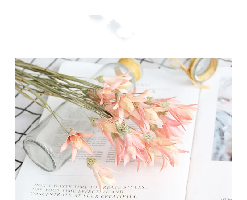 11037421270_1442471722