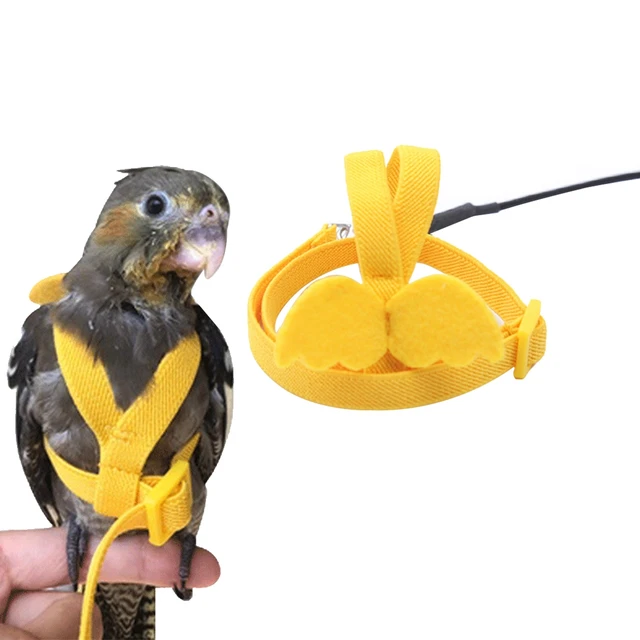 Bird Rope Parrot Harness Parrot Release Accessory Traction Rope For Birds  Bird Walking Parrot Training Rope For Outdoor Training - AliExpress