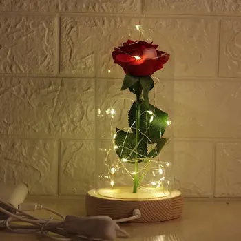 

Eternal Life Flower Glass Cover Rose LED USB Lamp Birthday Valentine's Day Anniversary Gifts