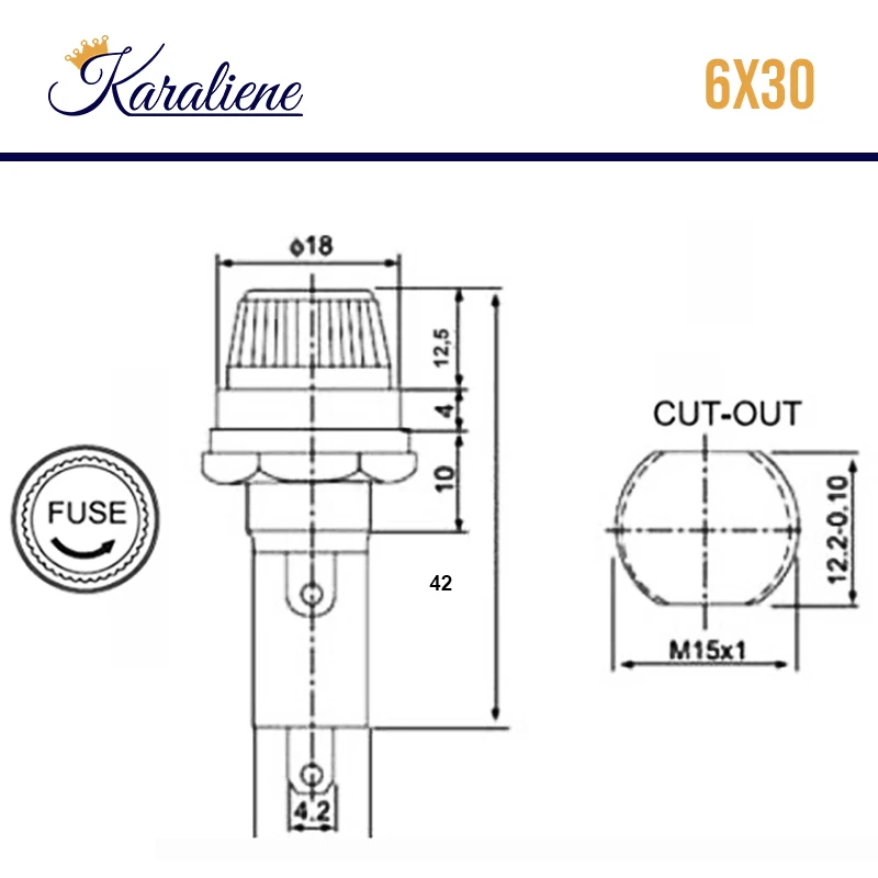 10PCS R3-13 Screw Cap Panel Mount  6*30mm Glass Fuse Holder