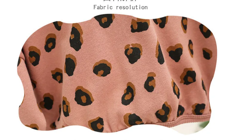 1 2 3 4 5 Y Baby Girls 2pcs Spring Autumn Fashion Leopard Print Hooded Sweatshirt Pants Kids Tracksuit Toddler Baby Sport Suit