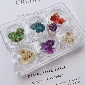 

best Nail Glitter Shiny Matte Shell colorful Nail Art Pigment Dust Powder Manicure Nail Decorations acp071