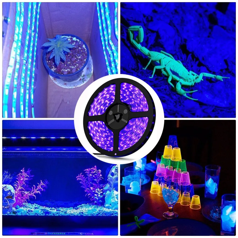 6c338a6ac494277644e7a0980c013d3b