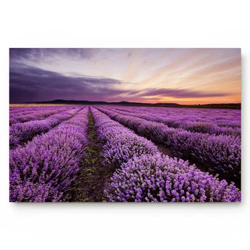 

Plant Purple Lavender Flowers Dusk Living Room Doormat Home Environmental Protection Bathroom Door Non-slip Floor Mat