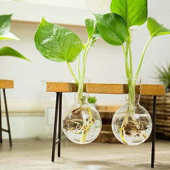 

Simple Hydroponic Transparent Glass Vases Green Dill Plant Container Small Fresh Office Desktop Decor VJ-Drop