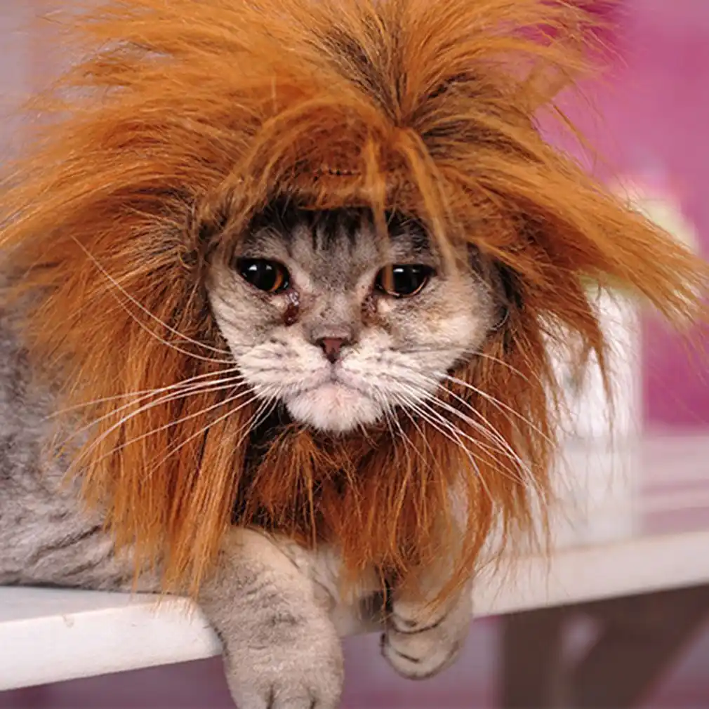 neck lion wig dog collar collar wig headband pet morph hat funny