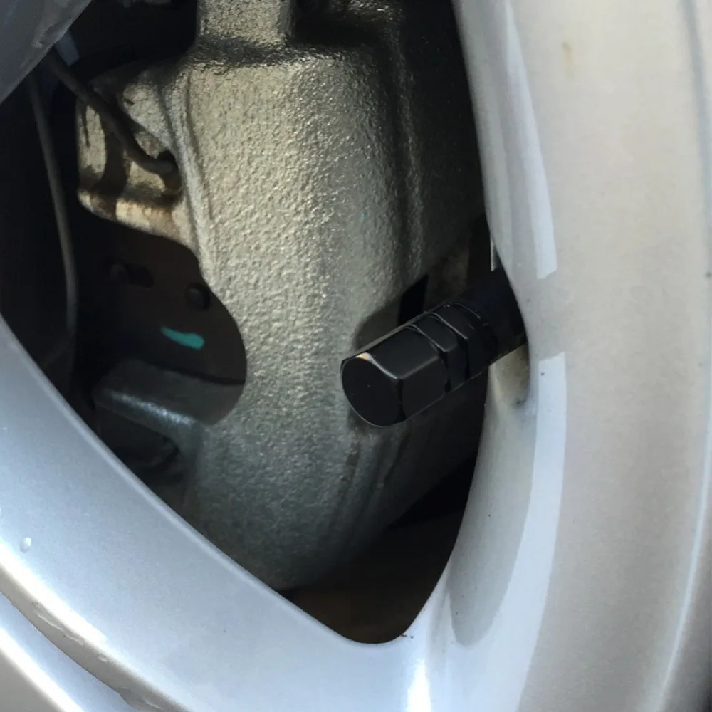 298335_no-logo_298335-1-13