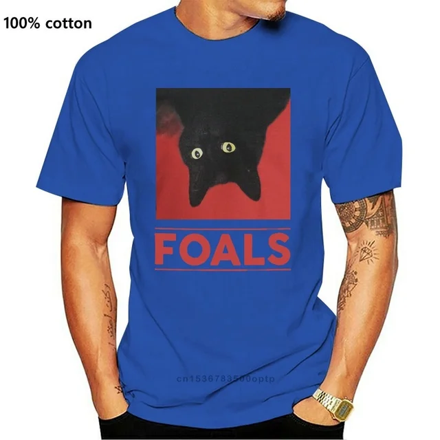 New Black Cat Foals Rock Band Tour 2021 