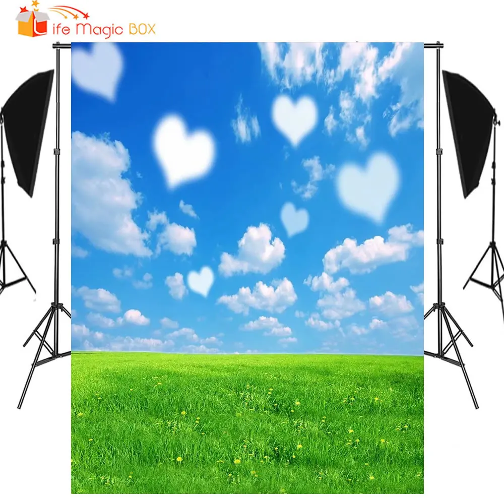 LIFE MAGIC BOX фотографический фон день Святого Валентина Сердца белые облака фотофоны