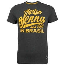 Ayrton Senna футболка Born in Brasil grau Новая мужская модная футболка с коротким рукавом мужская футболка