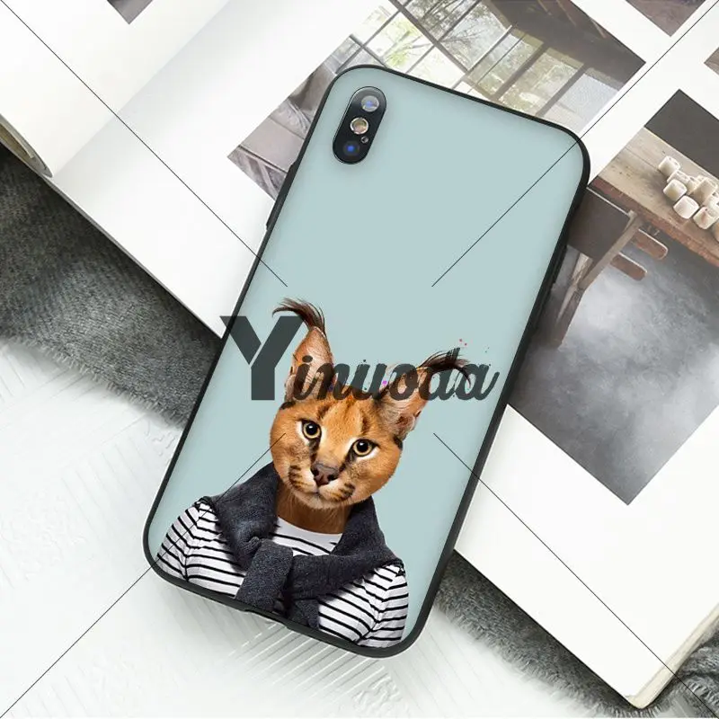 Animal portrait elephant owl tiger panther