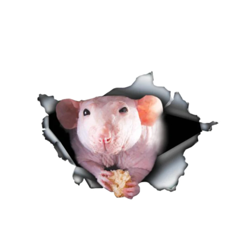 

Creative Hairless Rat 3D Pet Car Sticker Accessories Motorcycle Waterproof Car Window Decal PVC 13cm X 9cm