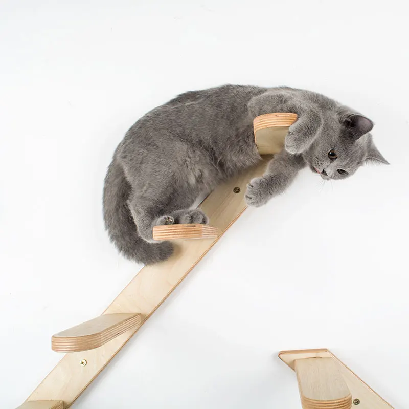 ladder_19