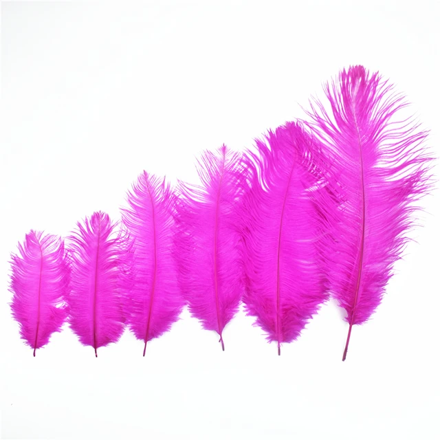 15-50cm Colorful Ostrich Feathers Bulk 50Pcs Ostrich Plumas for Wedding  Party Decor Table Centerpieces Carnival Wings Feather - AliExpress