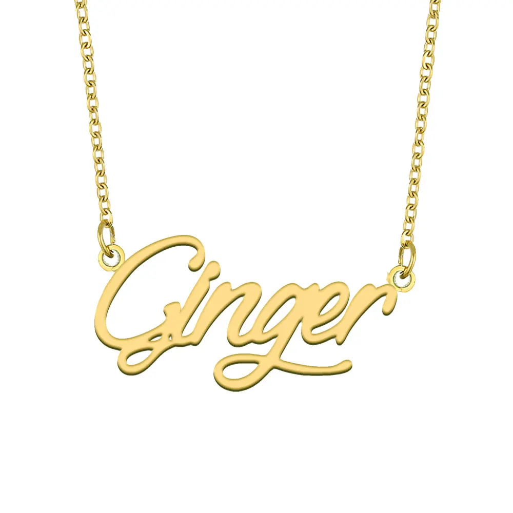 

Ginger Name Necklace for Women Personalized Stainless Steel Jewelry Gold Plated Nameplate Pendant Femme Mothers Girlfriend Gift