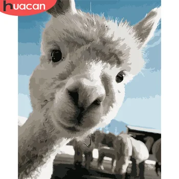 

HUACAN DIY Pictures By Number Sheep Kits Painting By Numbers Animal Hand Painted Picture Art Drawing On Canvas Gift Home Decor