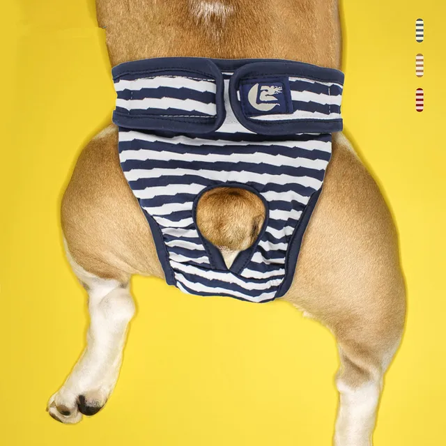 Female Dog Shorts Panties Menstruation Underwear Briefs Jumpsuit Pet Physiological Pant Diaper Sanitary Washable 1