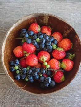 

Natural Superior Coconut Bowl Spoons Forks Set 100% Hand-Made Eco Friendly Polished With Coconut Oil Biodegradable Bowl No Waste
