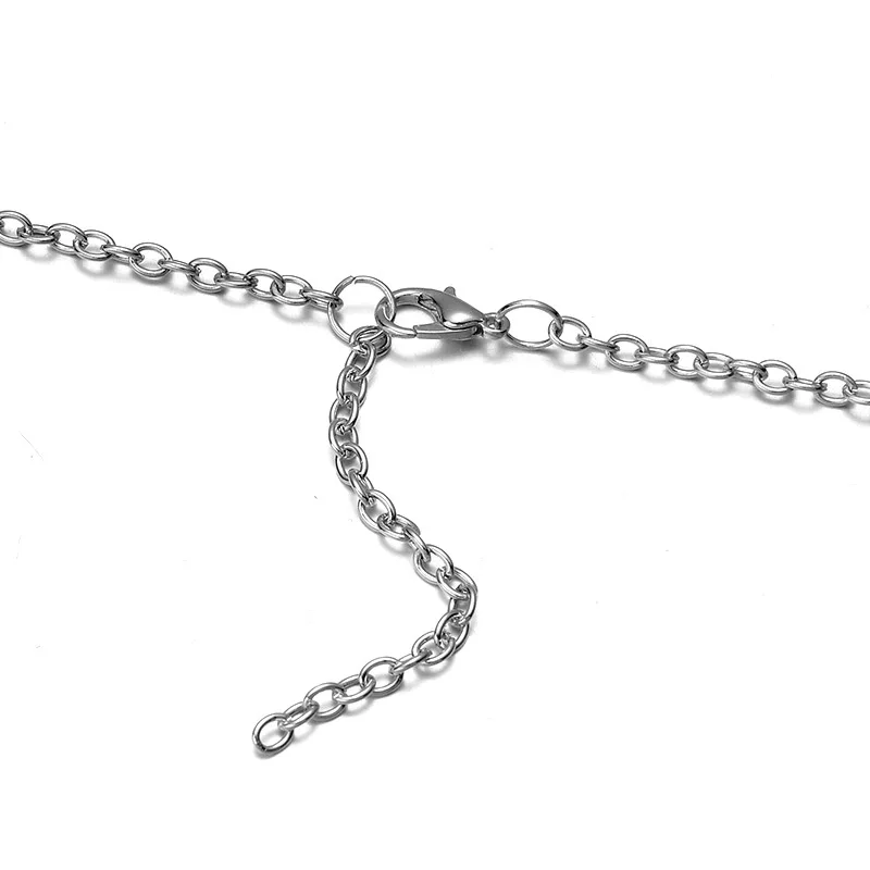 2658524815_942284573