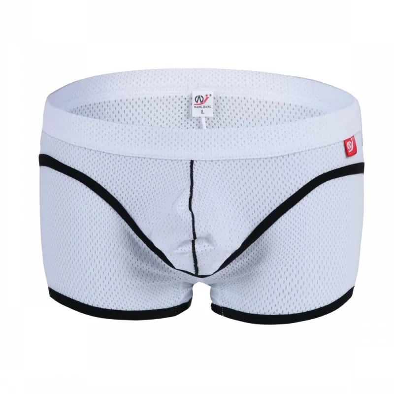 9127977022_1605400619