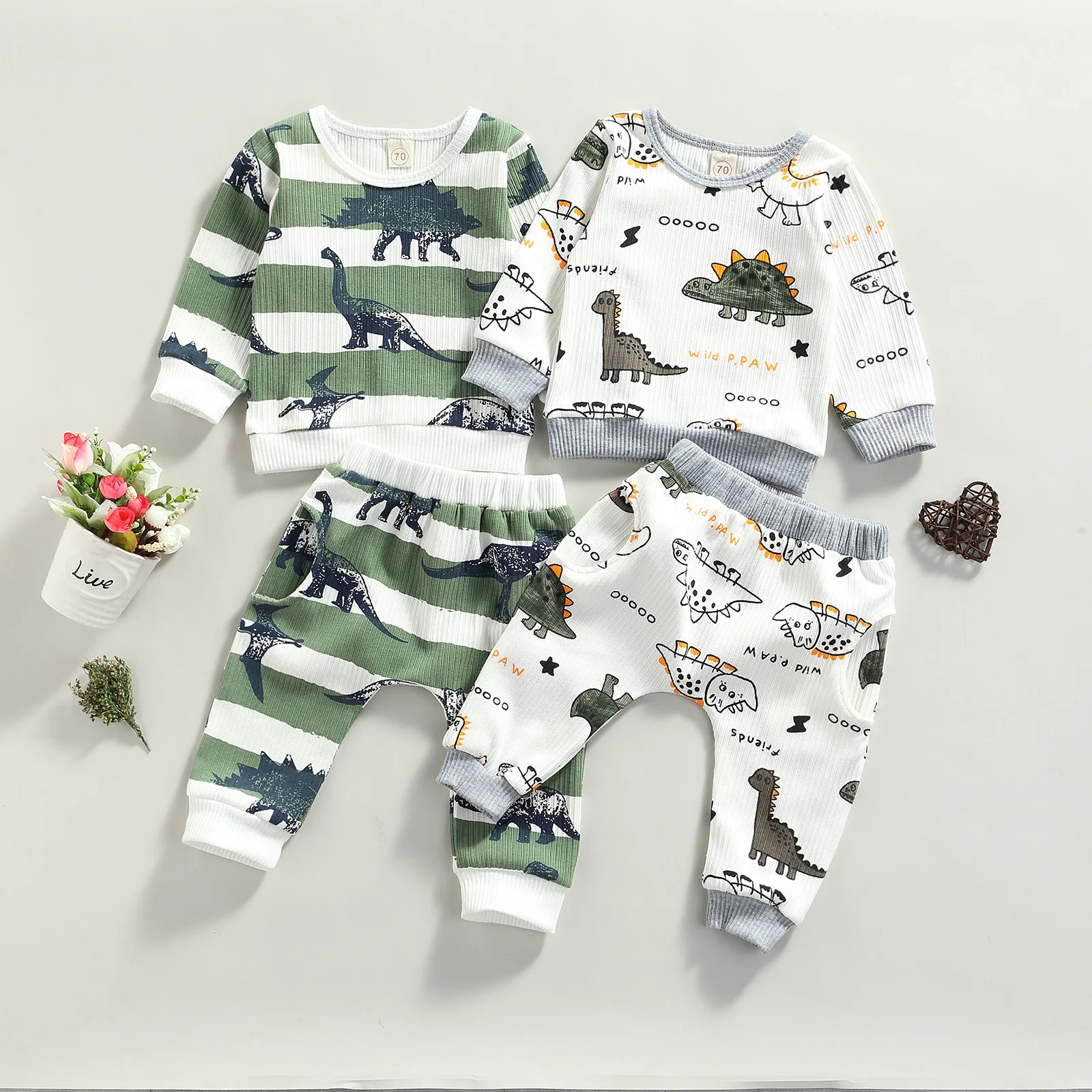 Baby Boy Dinosaur Print Outfit Set 2