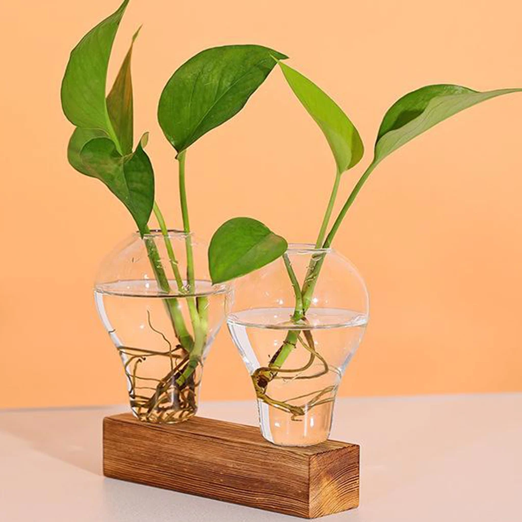 Hydroponic Plant Vase Desktop Glass Wooden Stand Plant Holder for Office Home