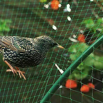 

10m Agriculture Climbing Fence Nylon Net Greenhouse Vines Grow Fence Vegetable Plant Support Climbing Trellis Netting 1 Pc